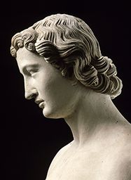 Pierre de Montreuil (mort en 1267) : Adam (Notre-Dame de Paris), visage de profil