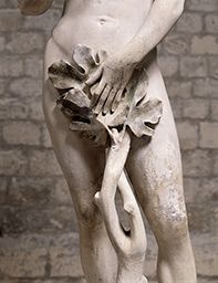Pierre de Montreuil (mort en 1267) : Adam (Notre-Dame de Paris), détail