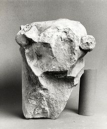 Fragment du taureau de saint Luc (Portail central, Notre-Dame de Paris)